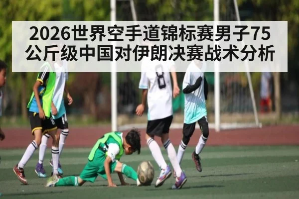2026世界空手道锦标赛男子75公斤级中国对伊朗决赛战术分析
